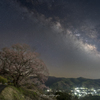 町を見守る桜と共に