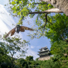 蝉城