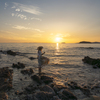 夕暮れふわり