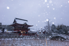 枯れ蓮池に雪が降る