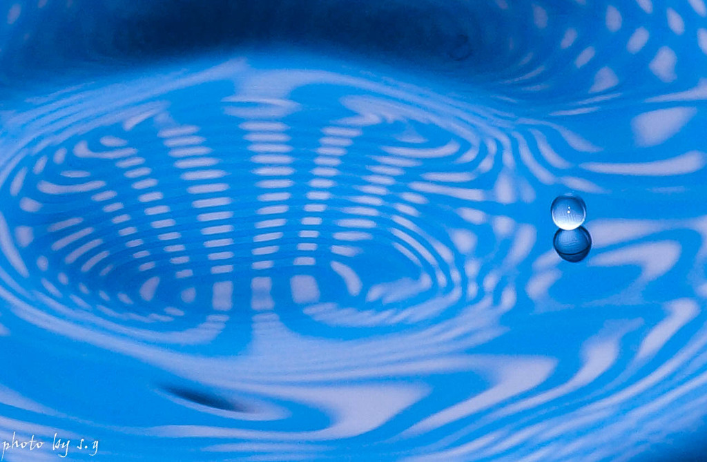 水面に遊ぶ
