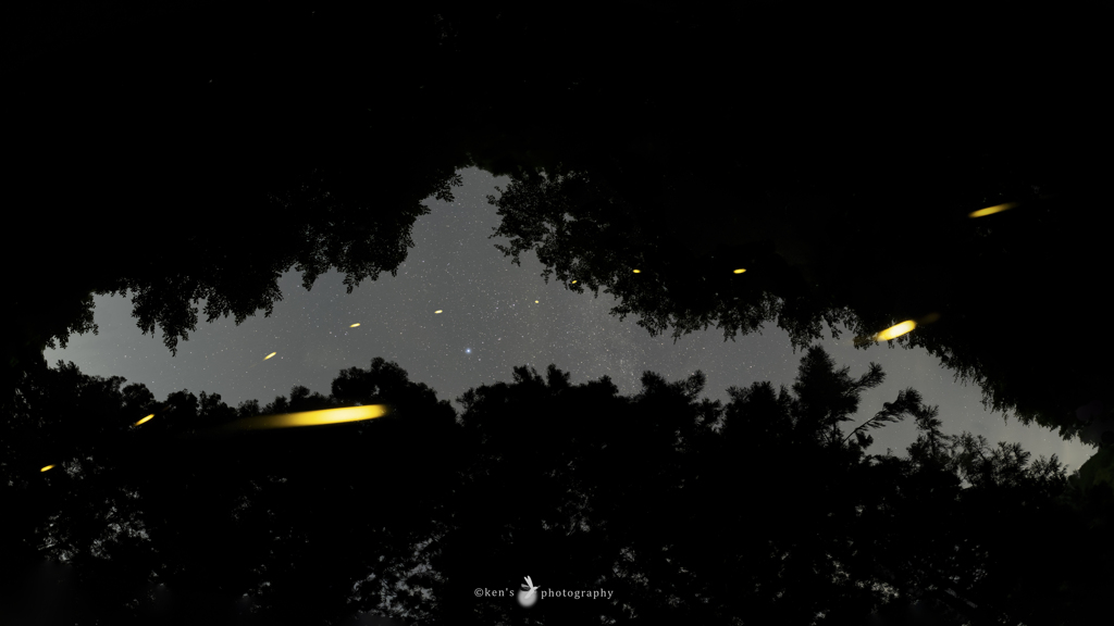 見上げた宙に