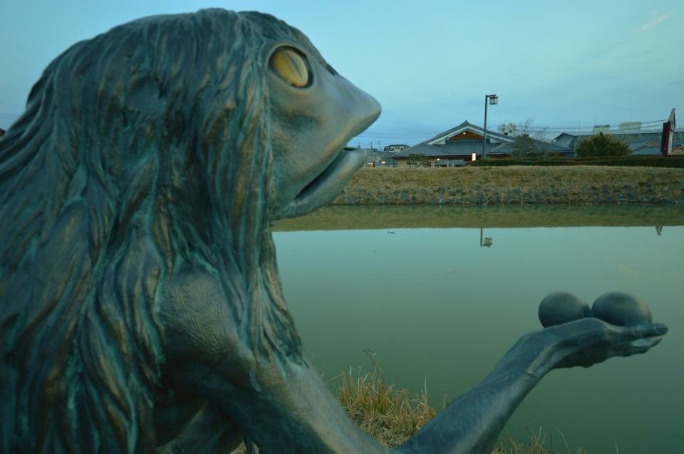 夏の河童池