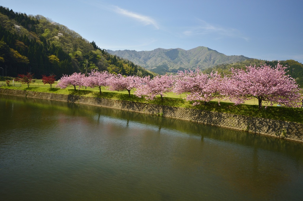 川沿いの…