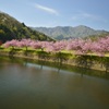 川沿いの…