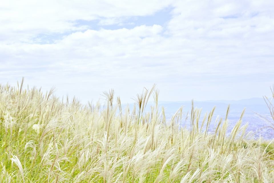 若草山