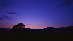 いつもの空