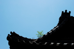 寝顔を撫でる手のありか