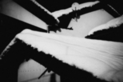 棲み処
