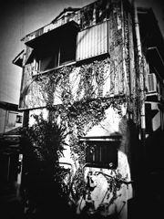 鋭意