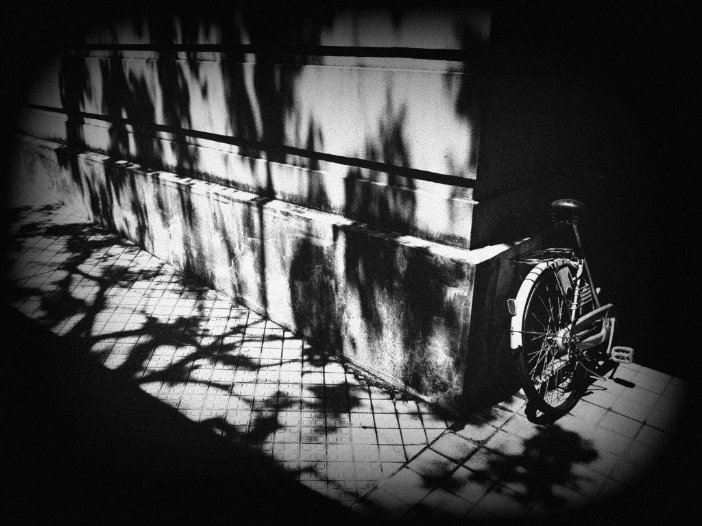 剥がれ落ちないシール