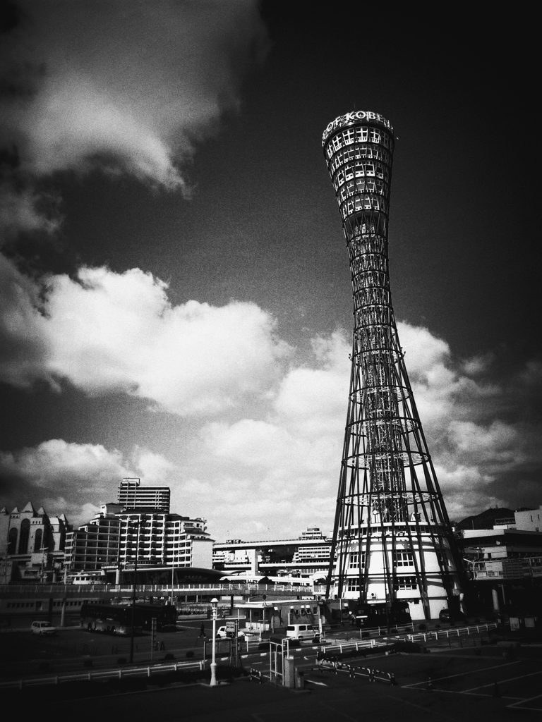 塔立つ汀