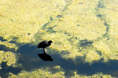 流れの中で立ち止まってみること