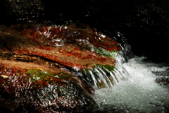水貌