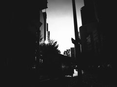 街駆