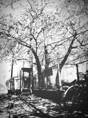 Apr 12,2011