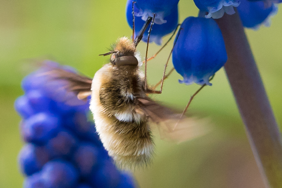 初めてのマクロ