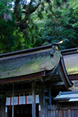 Sacred, Wakasahime Shrine