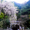 Otoyo Shrine (大豊神社)