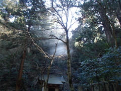 慈悲の光