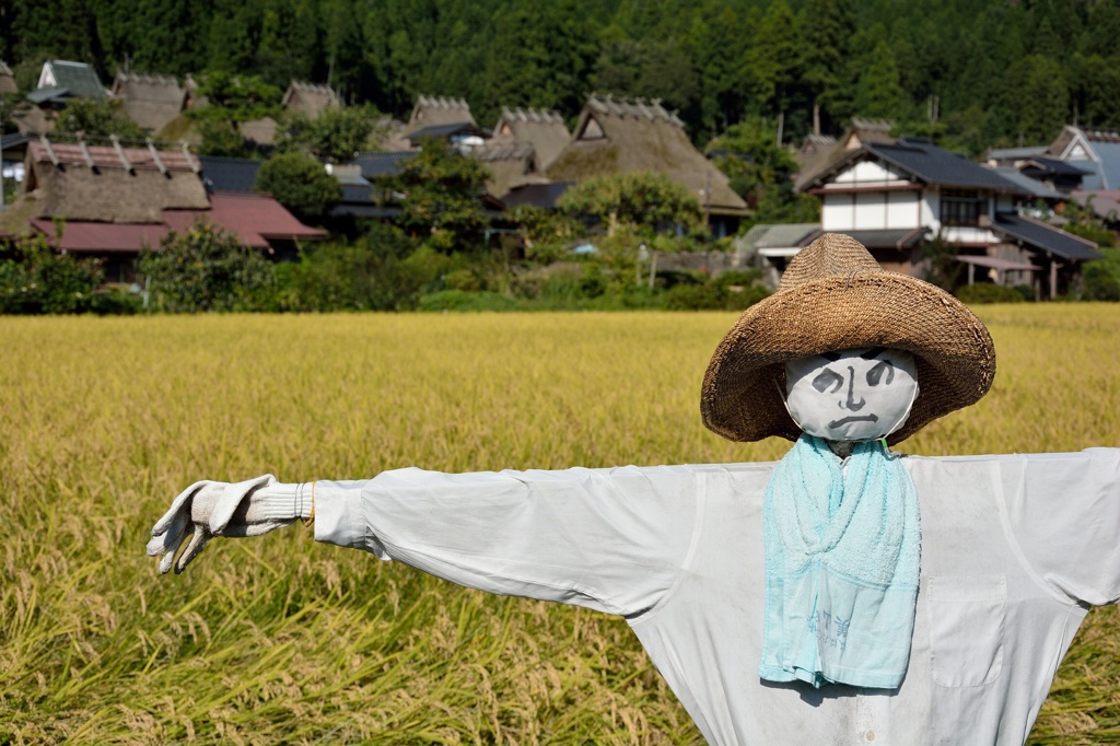 畑はちゃんと守りますゆぇ…