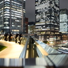 東京が奏でる強烈な光