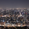 新宿の街を灯す光たち
