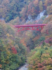高山村紅葉