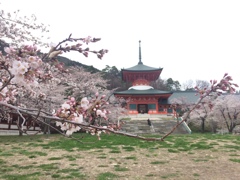 雲上殿