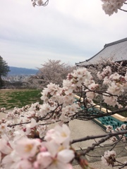 雲上殿