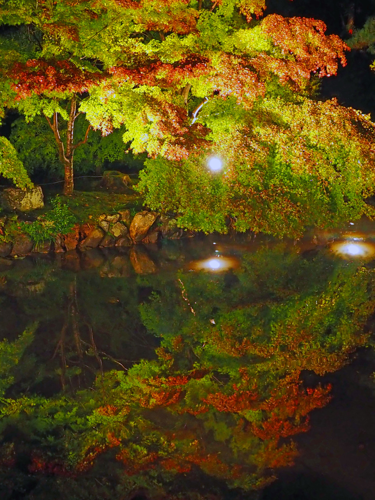 写し鏡 in 古都