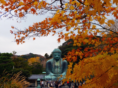 大仏さまの秋化粧☆