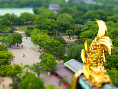 太閤殿下も祝福？