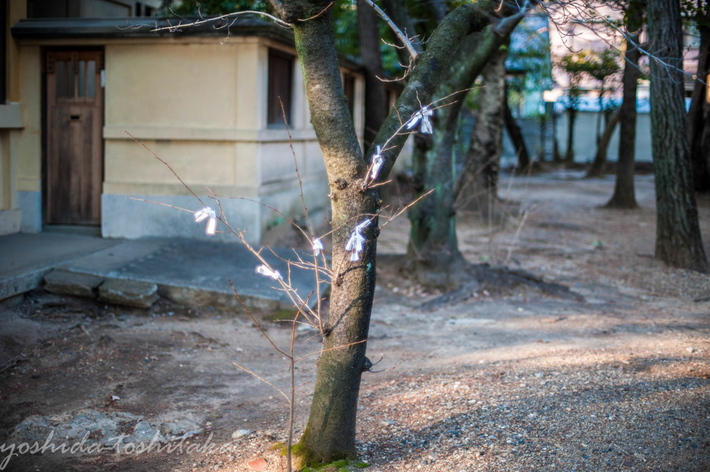 願い