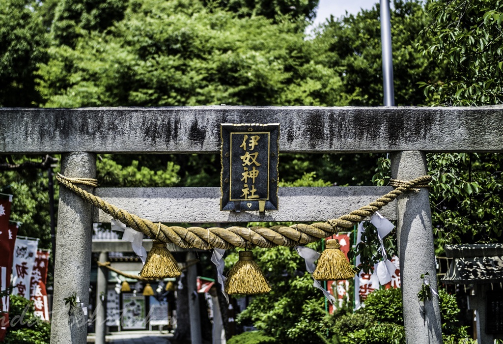 伊奴神社-3