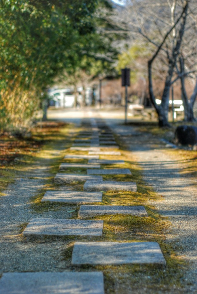 DSC_3970~2