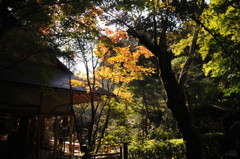 秋の気配