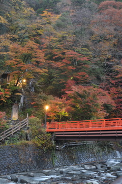 梅ヶ島