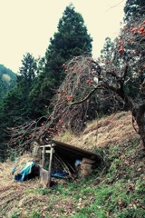 田舎