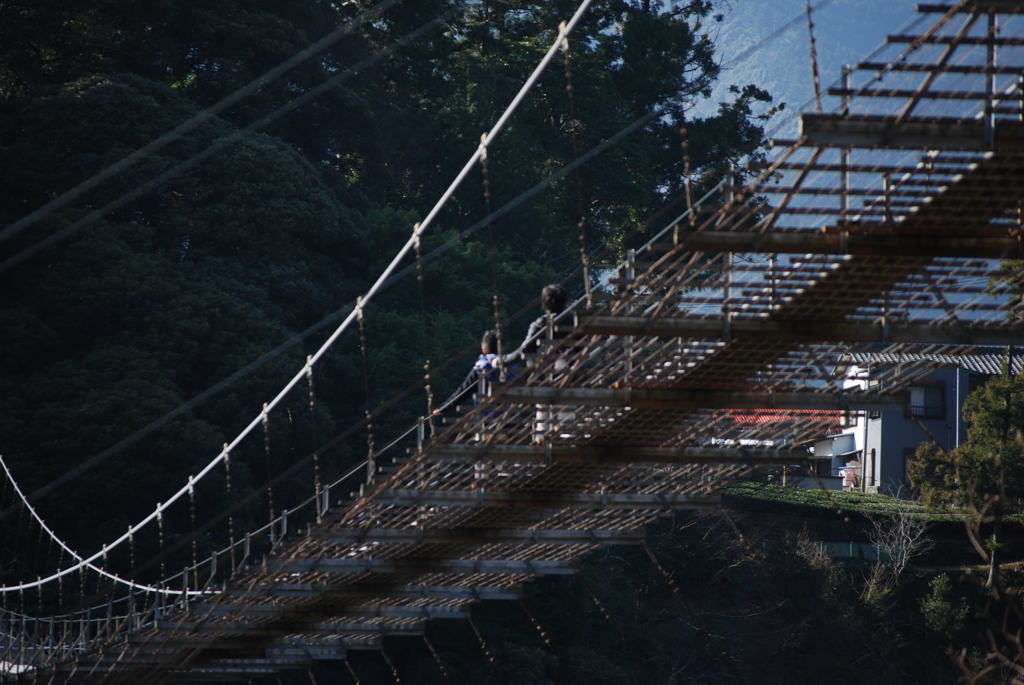DSC_0610