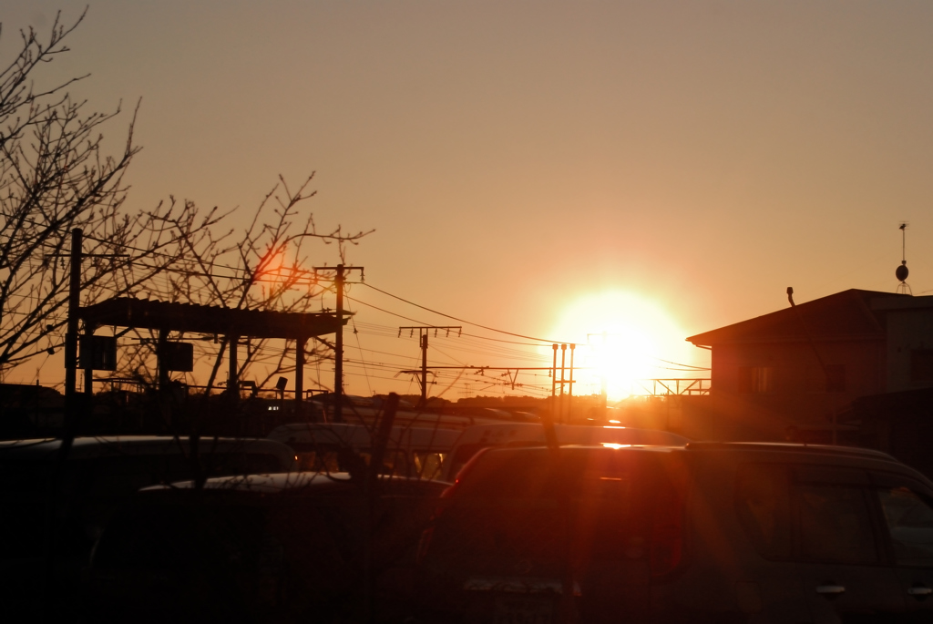 夕陽に向かって