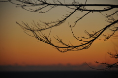 夕焼け