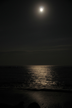 夜の海原