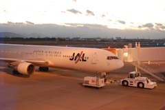 阿波踊り空港 JAL