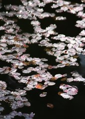 花模様