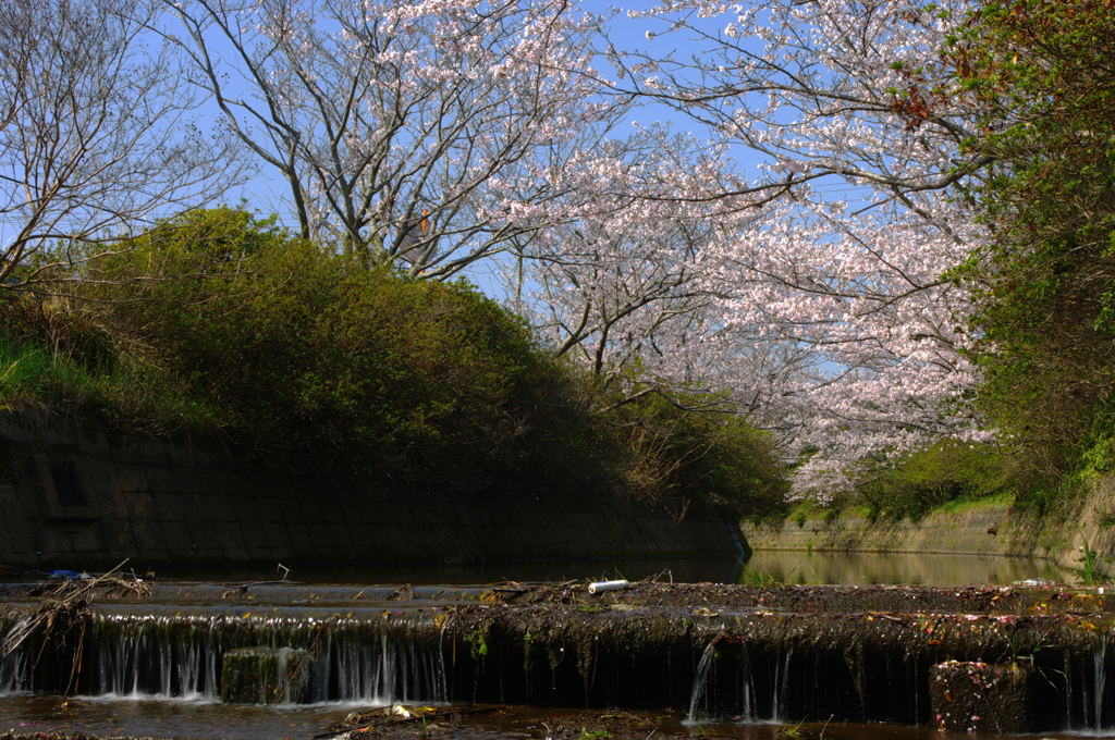 川辺にて