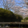 川辺にて