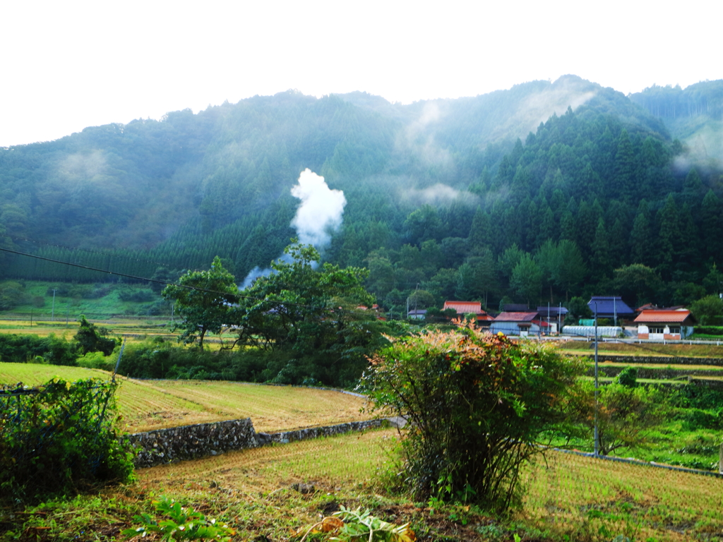 秋の里山3