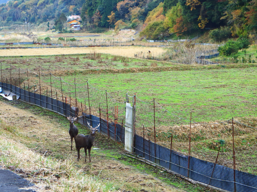 連れ立って