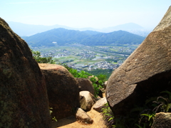 見下ろせば